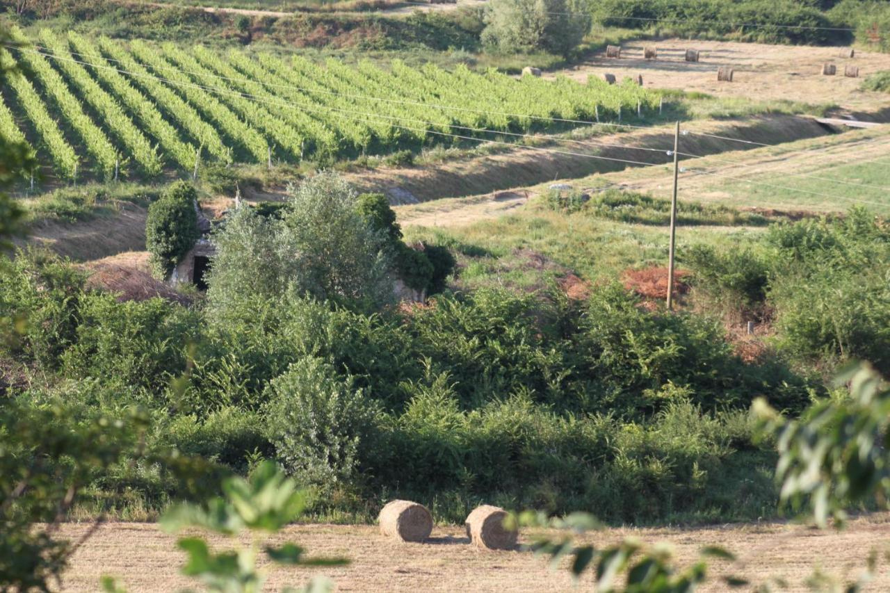 Apartmani Dienes Novi Vinodolski Exteriör bild